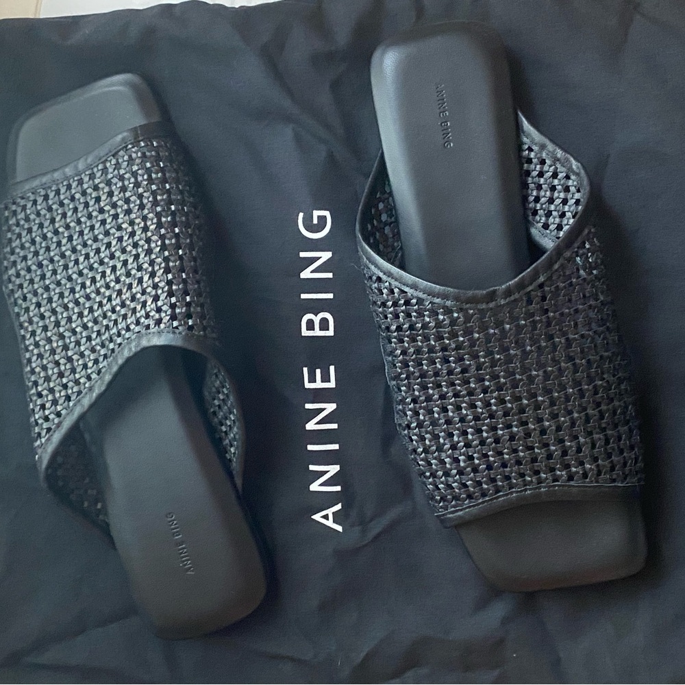 Anine Bing Hoxton Slides (Woven)